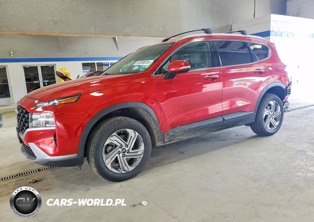 2023 Hyundai Santa Fe Sel VIN:5NMS2DAJ3PH556539 - 1