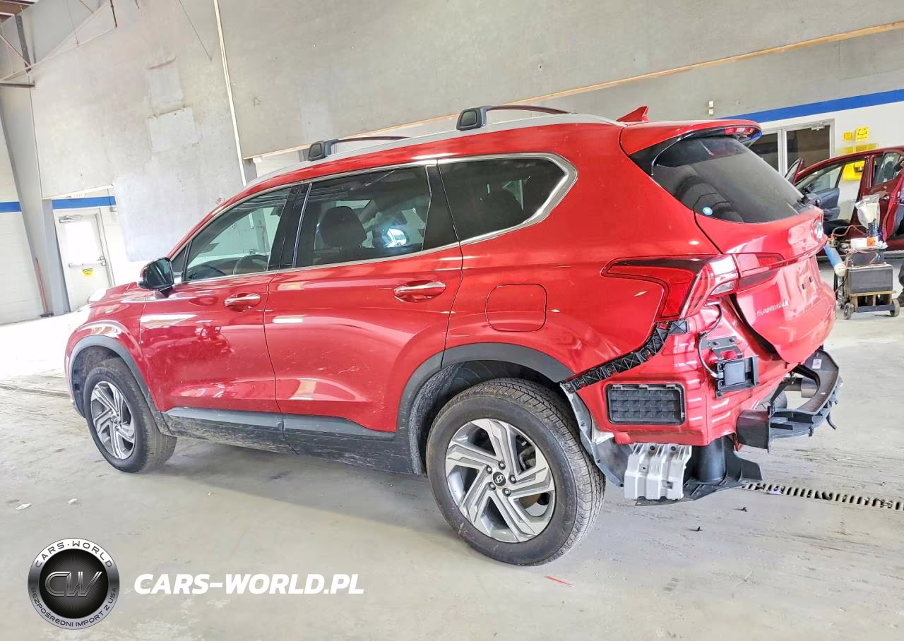 2023 Hyundai Santa Fe Sel VIN:5NMS2DAJ3PH556539 - 2