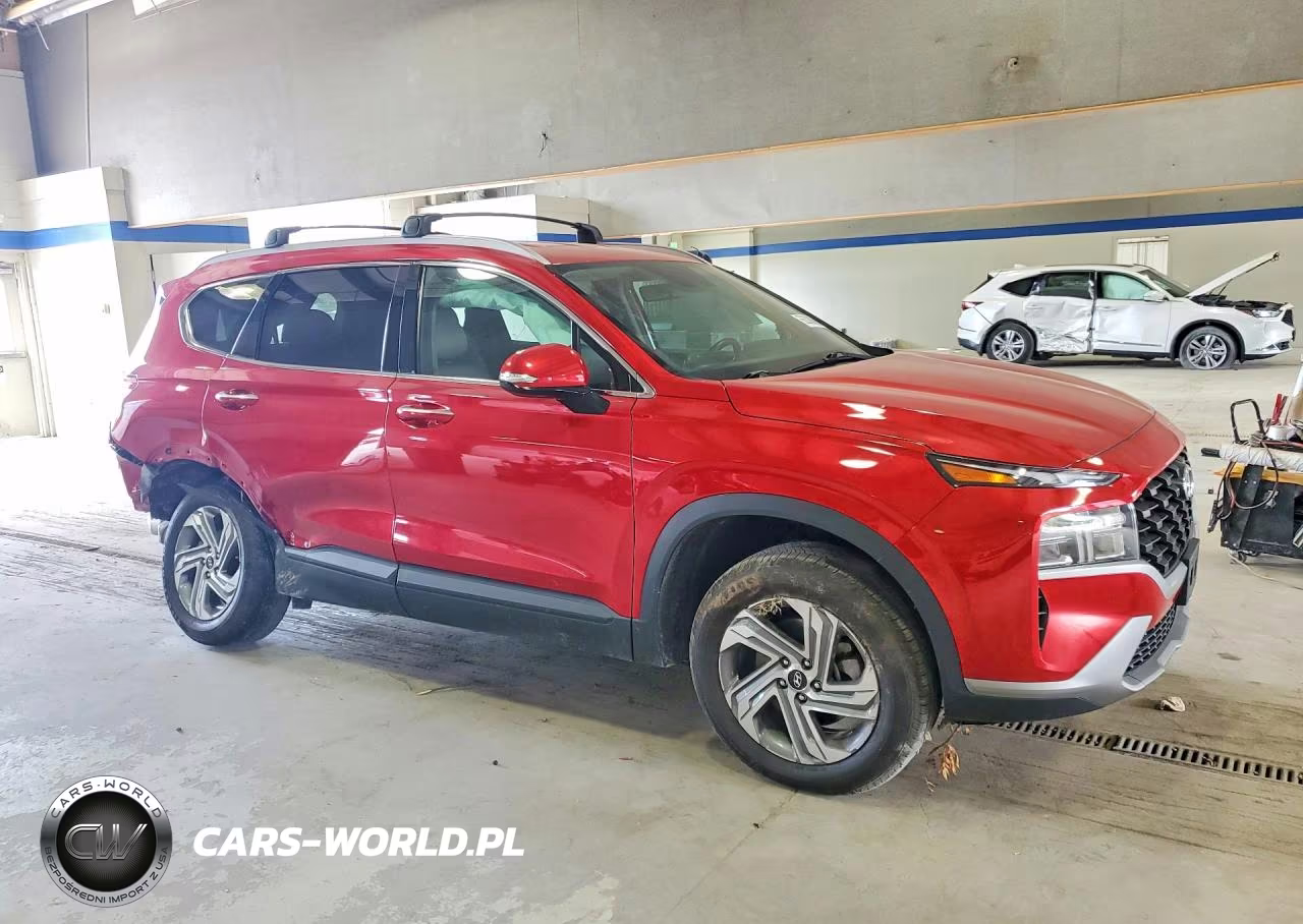 2023 Hyundai Santa Fe Sel VIN:5NMS2DAJ3PH556539 - 4