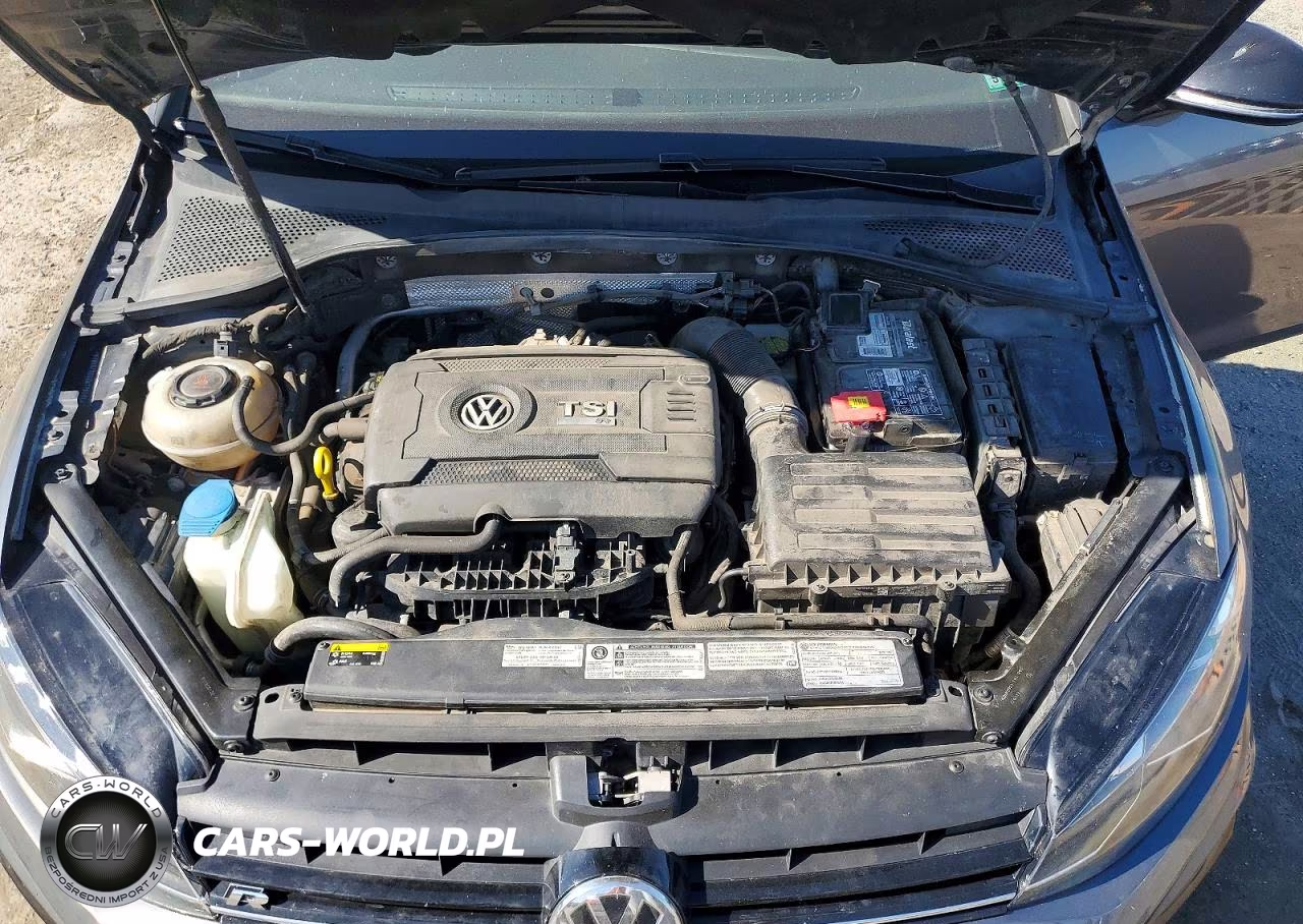 2019 Volkswagen Golf R VIN:WVWVA7AU0KW178066 - 11