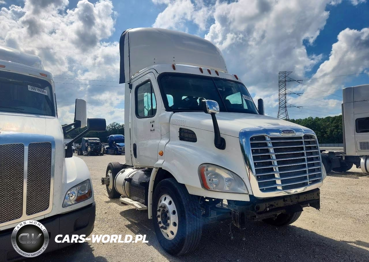 2015 Freightliner Cascadia 113