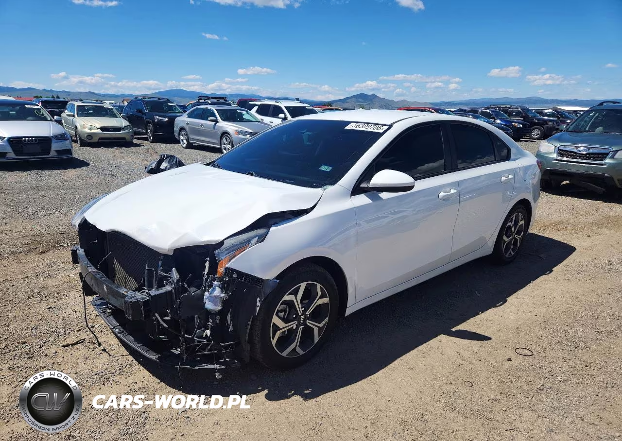2019 Kia Forte Lxs – zdjęcie 1 z 13