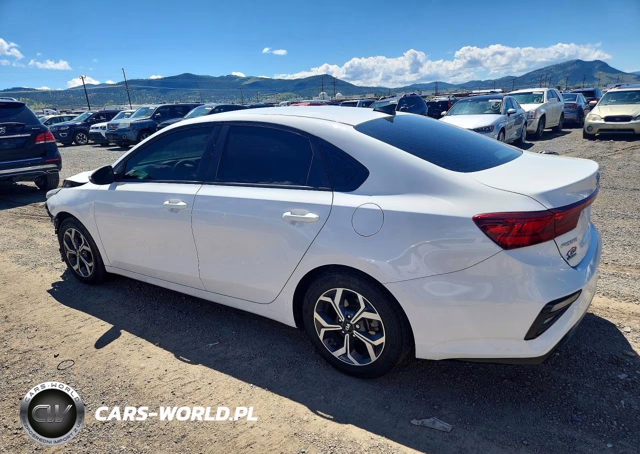 2019 Kia Forte Lxs VIN:3KPF24AD1KE077242 - 2