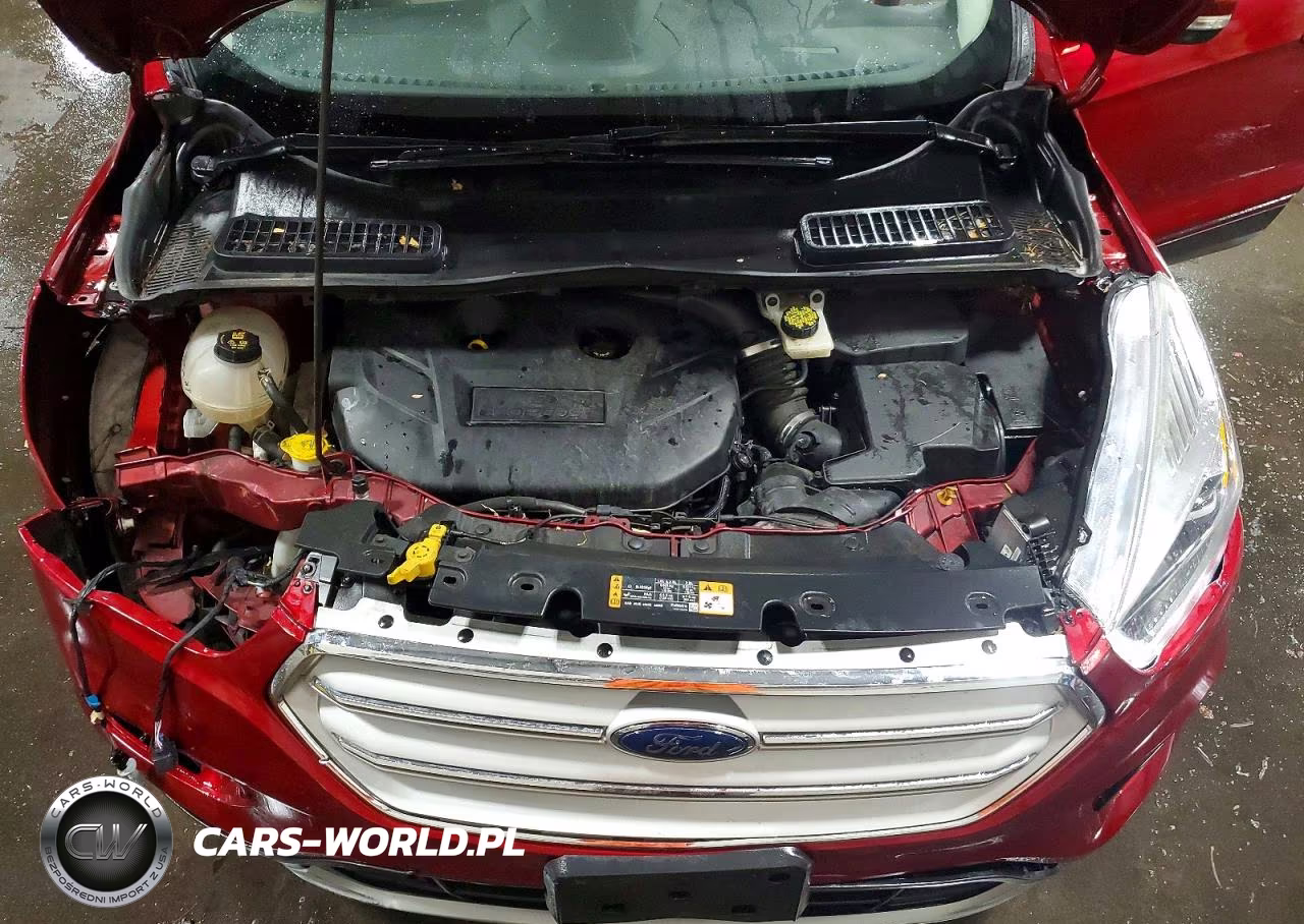 2019 Ford Escape Titanium VIN:1FMCU9J90KUB61135 - 12
