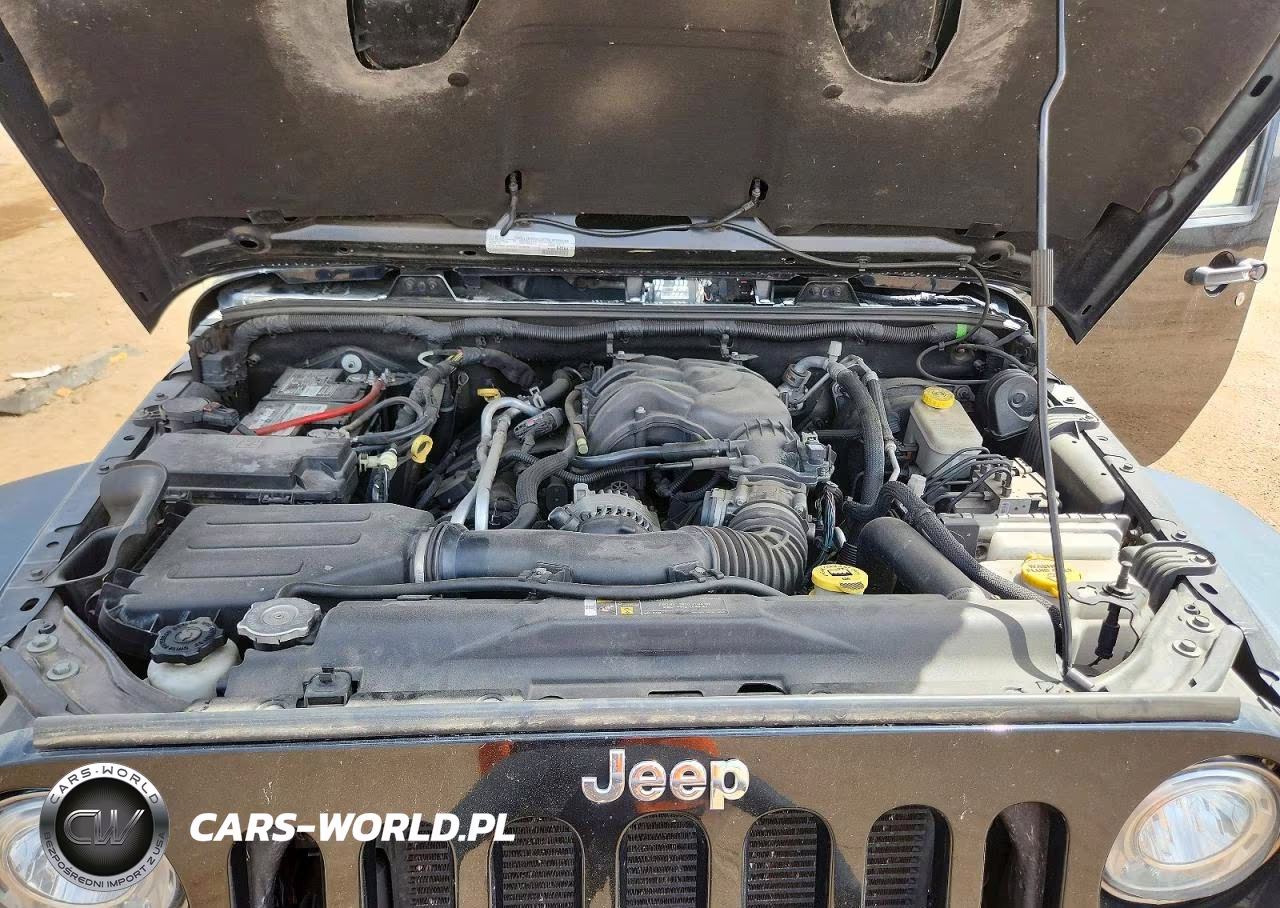 2017 Jeep Wrangler Unlimited Rubicon VIN:1C4BJWFGXHL535084 - 11