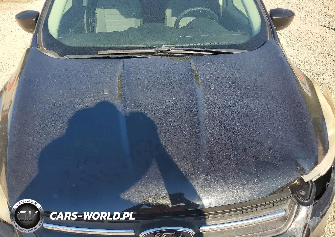 2015 Ford Escape Se VIN:1FMCU0G77FUA87056 - 12