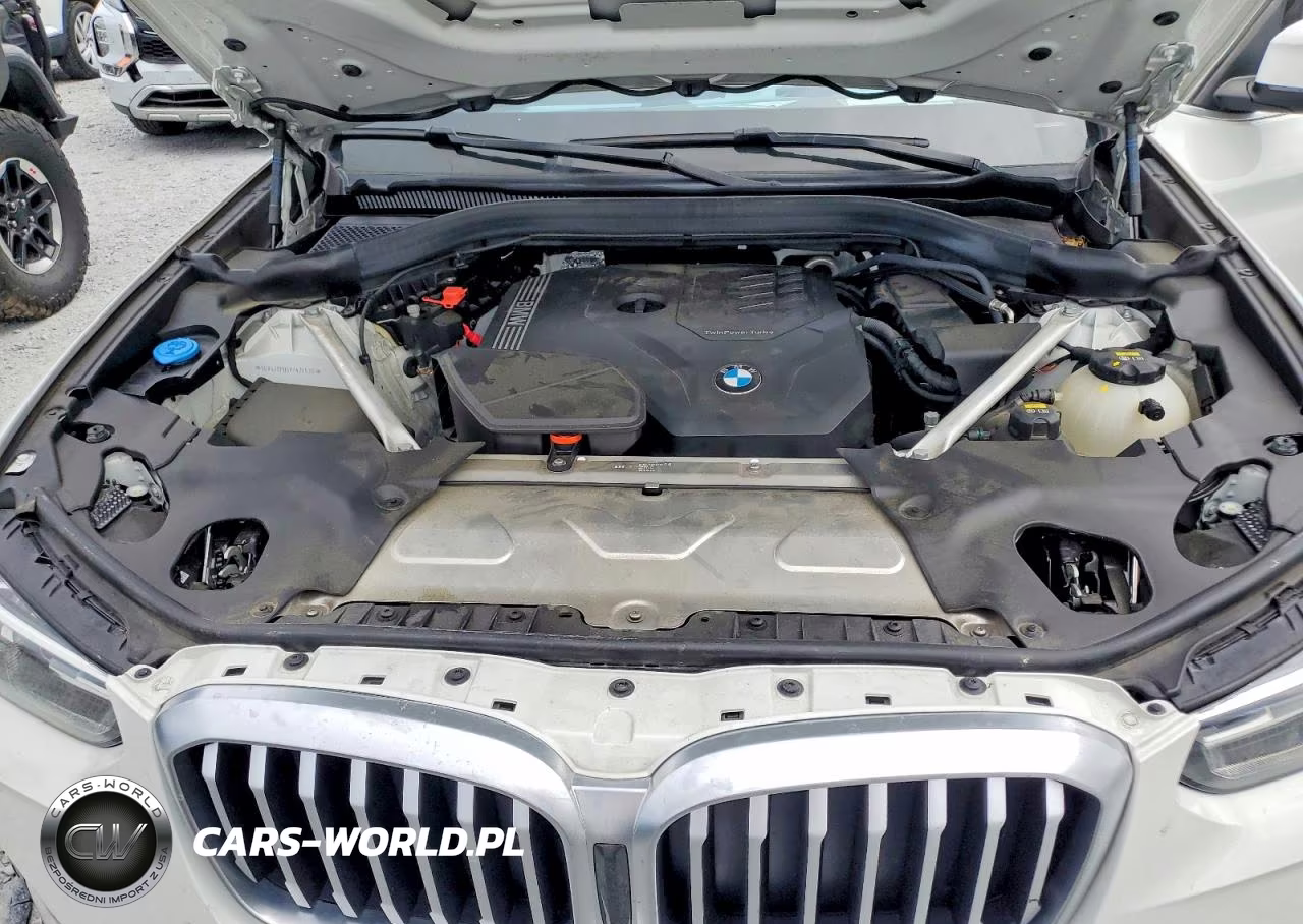 2023 BMW X3 Sdrive30I VIN:5UX43DP05P9N75575 - 12