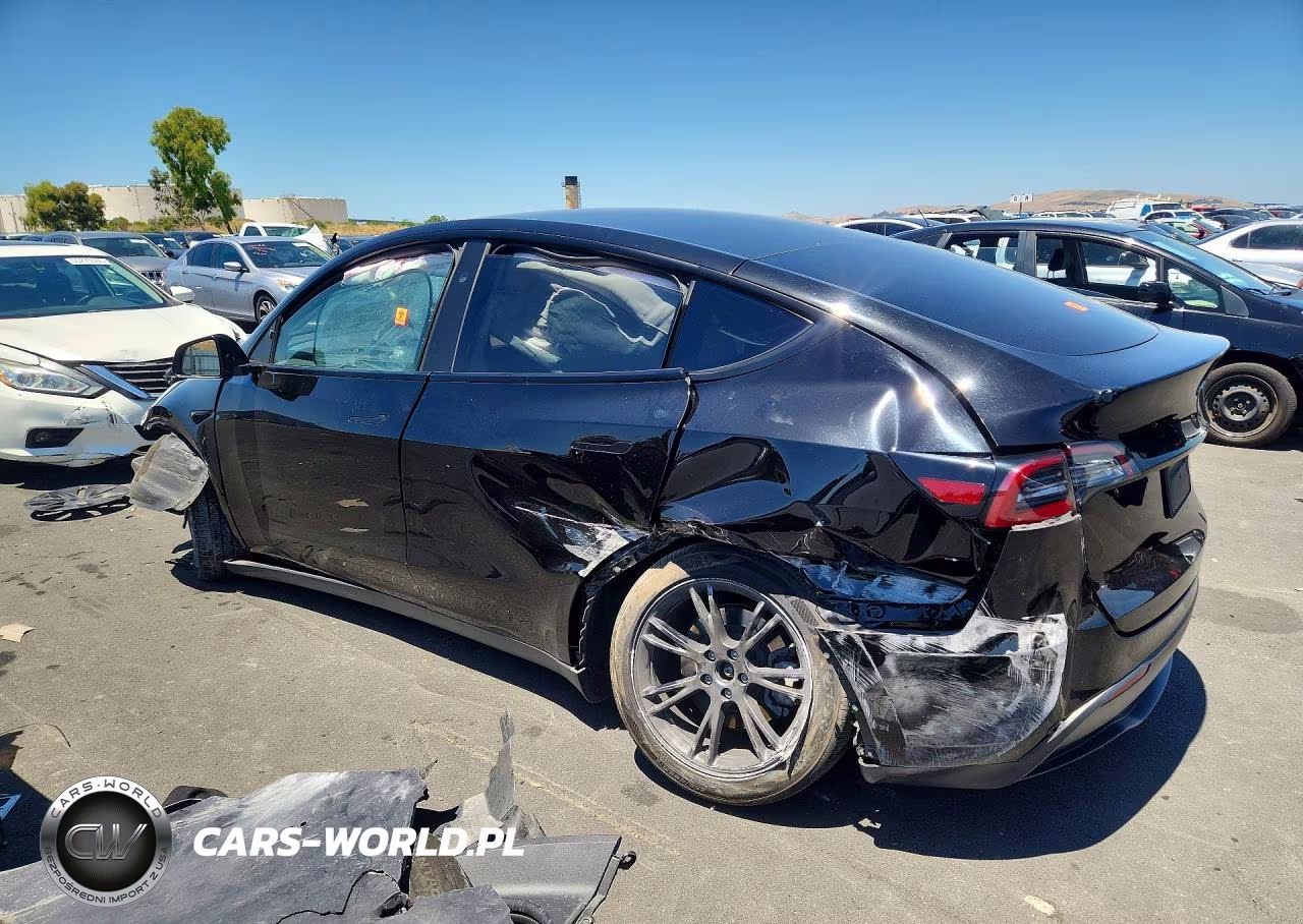 2024 Tesla Model Y VIN:7SAYGDED4RF202522 - 2