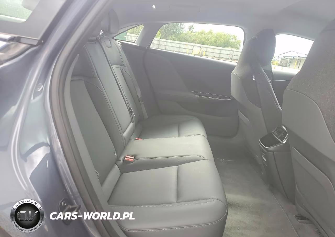 2025 Lucid Motors Air Pure VIN:50EA1PGA7SA003818 - 10