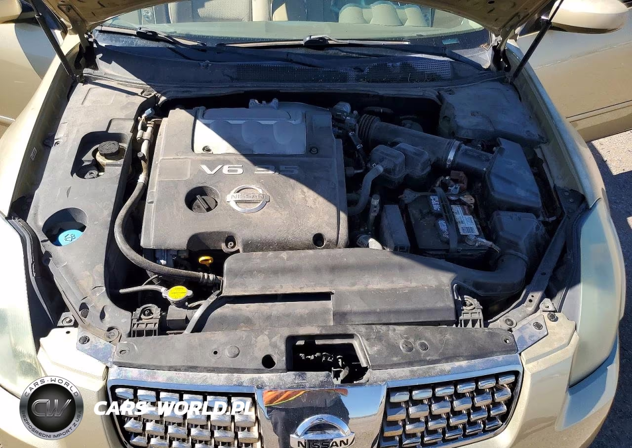 2004 Nissan Maxima 3.5 Se VIN:1N4BA41E84C876476 - 11