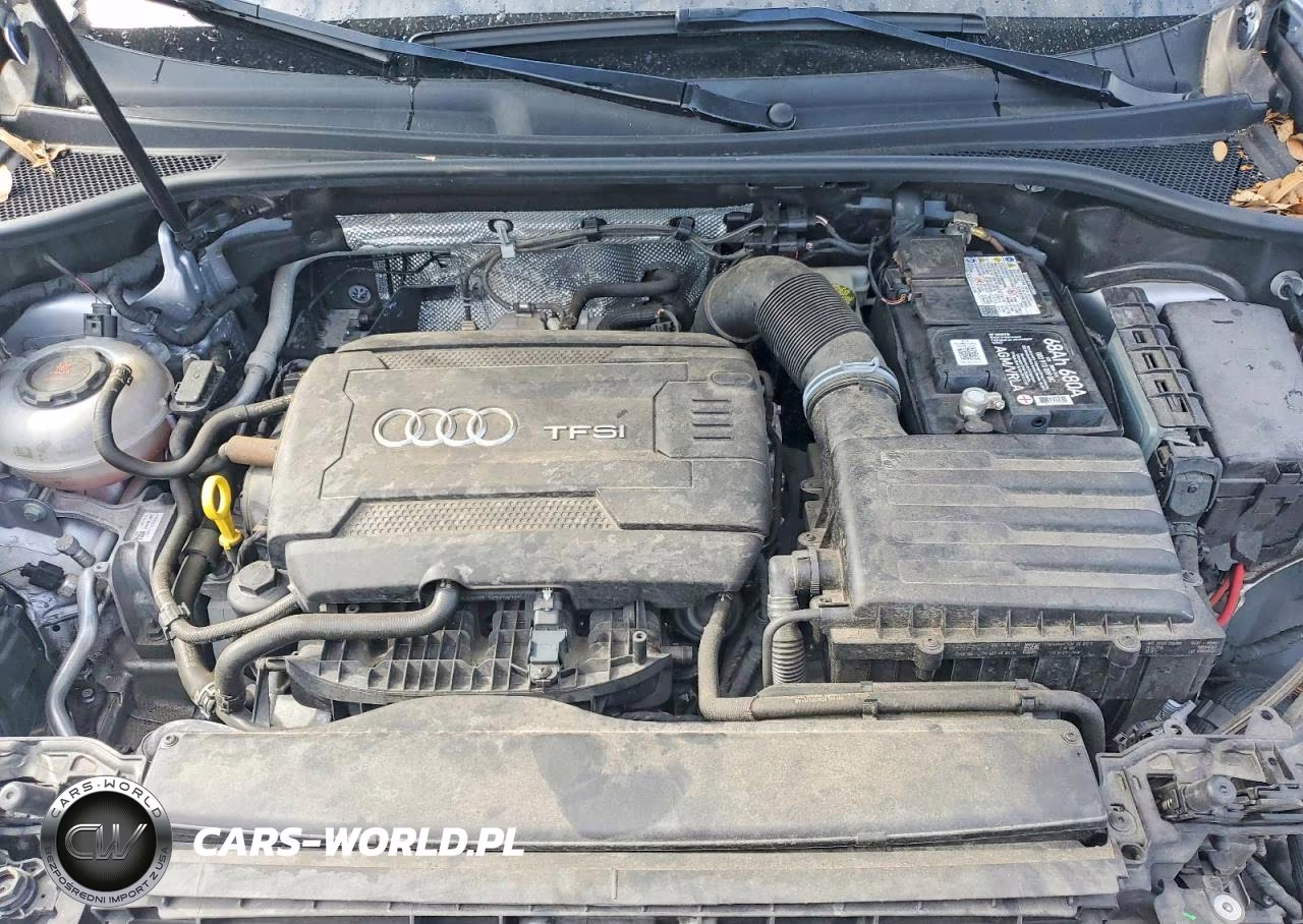 2019 Audi Q3 Premium Plus VIN:WA1BECF3XK1081013 - 12