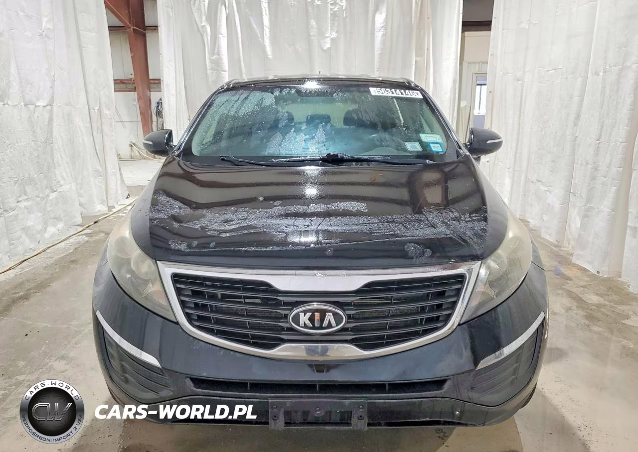 2012 Kia Sportage Lx VIN:KNDPB3A29C7194551 - 5