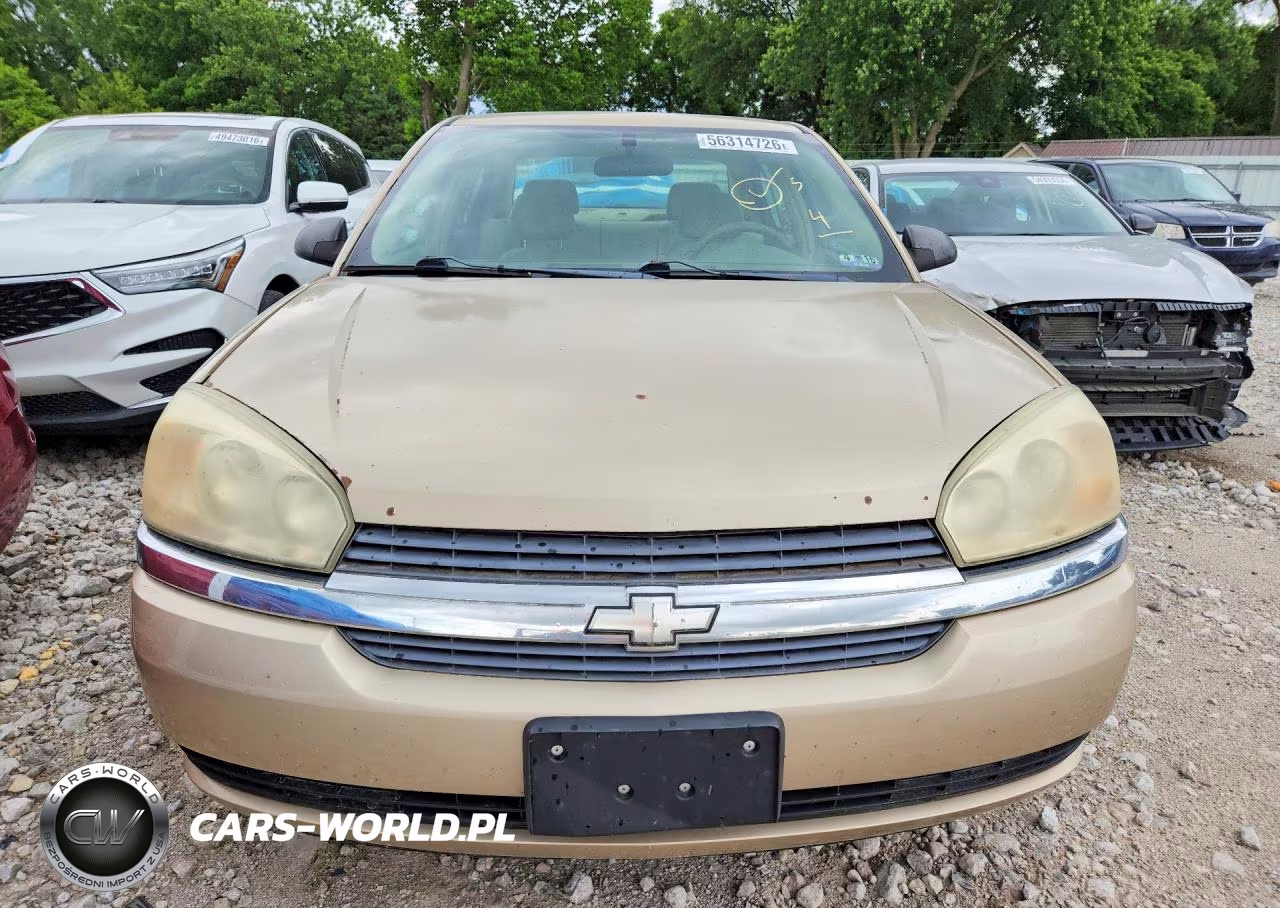 2005 Chevrolet Malibu VIN:1G1ZS52F75F309557 - 5