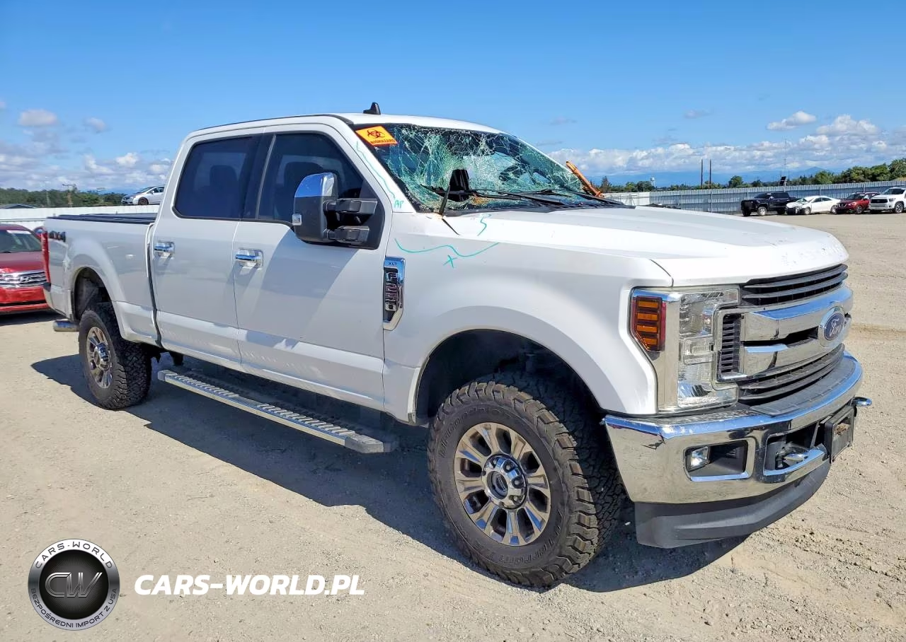 2019 Ford F250 Super Duty VIN:1FT7W2B69KEF96676 - 4