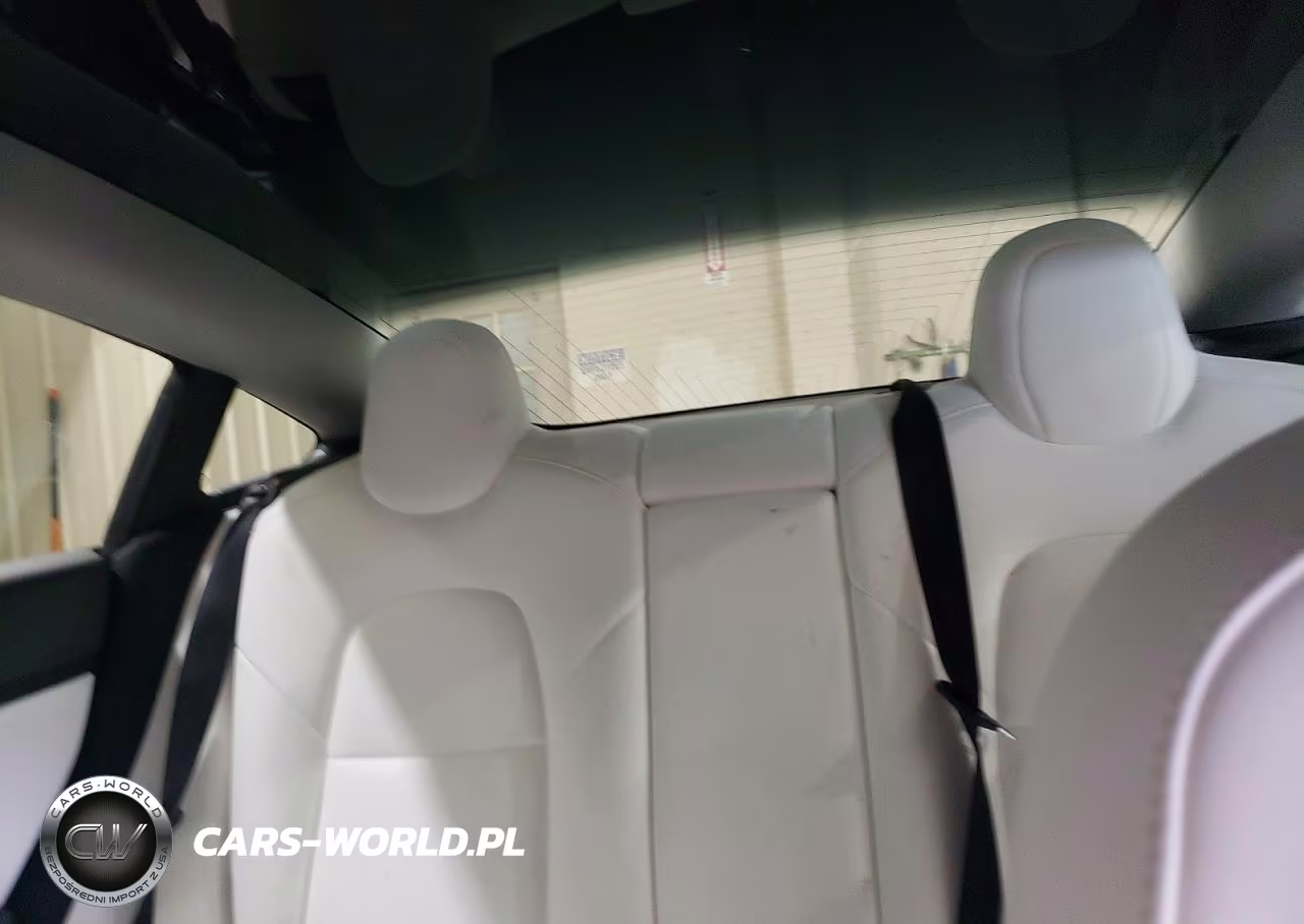 2020 Tesla Model 3 VIN:5YJ3E1EC9LF624800 - 10
