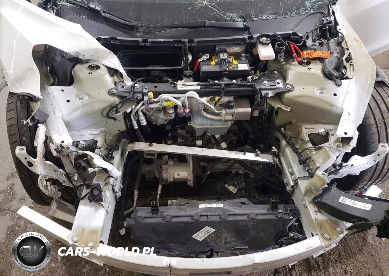 2020 Tesla Model 3 VIN:5YJ3E1EC9LF624800 - 12