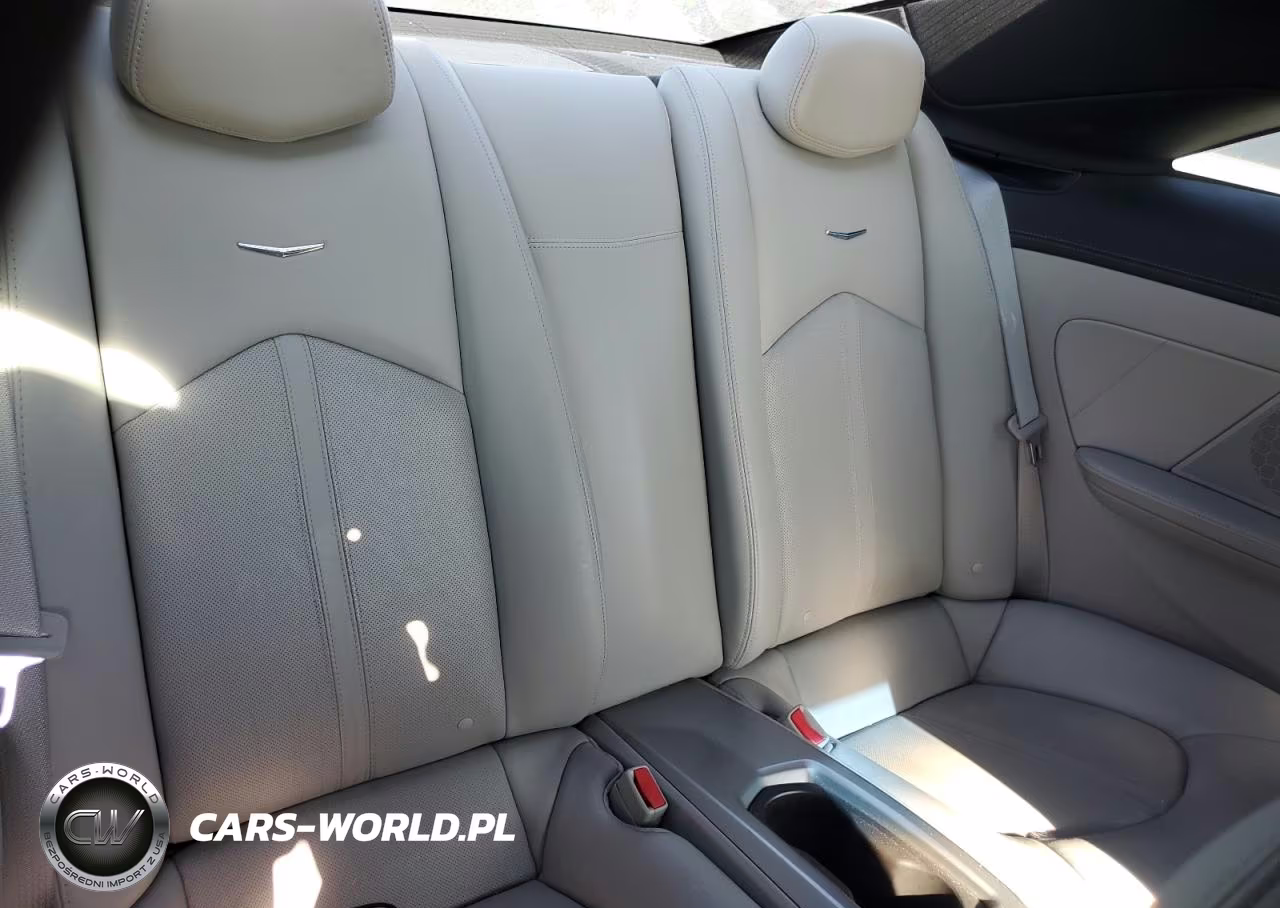 2013 Cadillac Cts Performance Collection VIN:1G6DJ1E39D0115292 - 10
