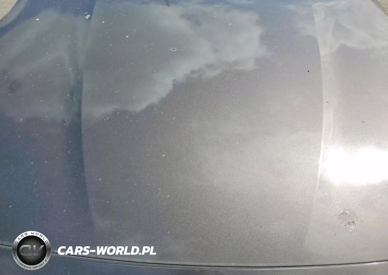 2015 Kia Cadenza Premium VIN:KNALN4D75F5168254 - 11