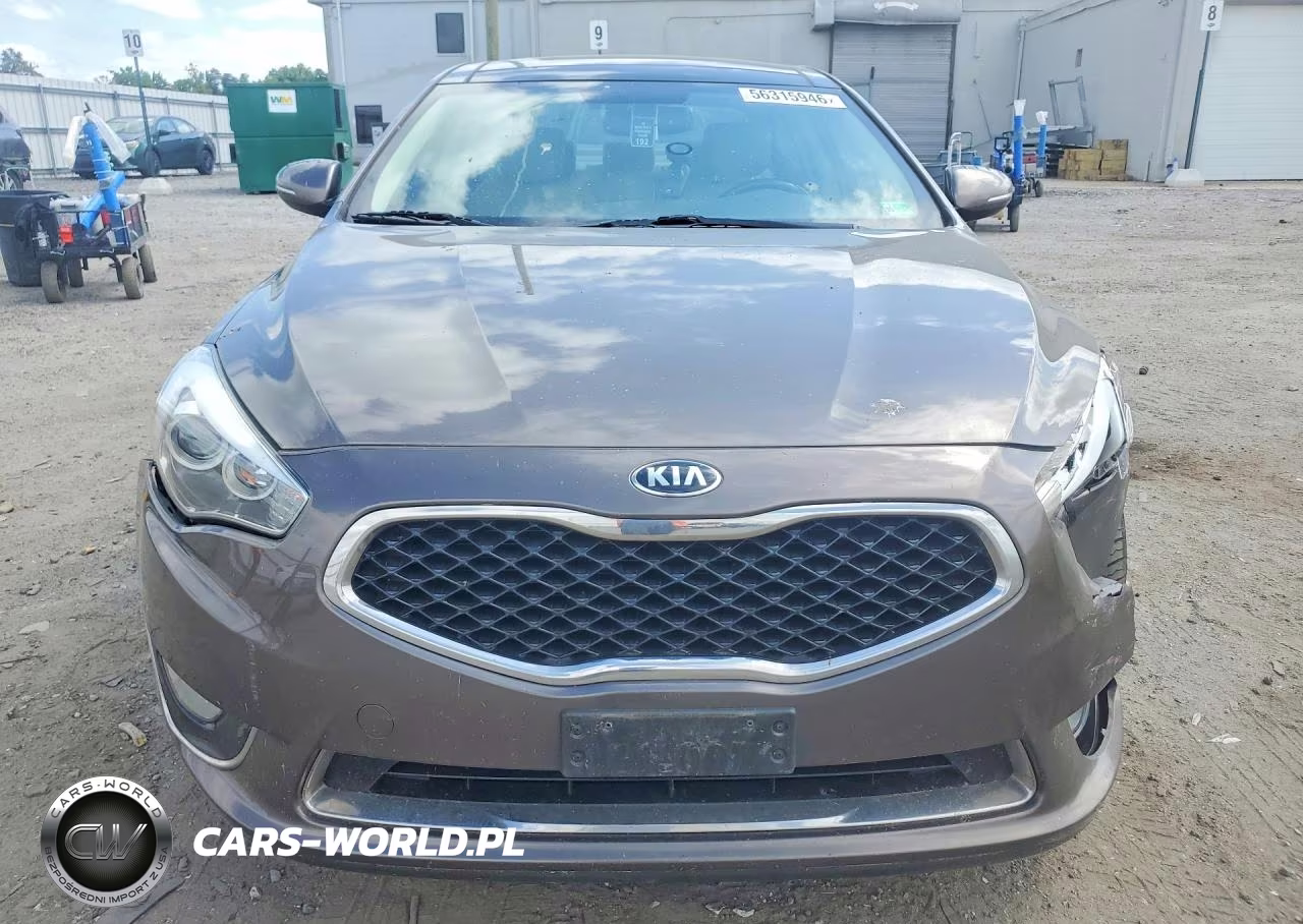 2015 Kia Cadenza Premium VIN:KNALN4D75F5168254 - 5