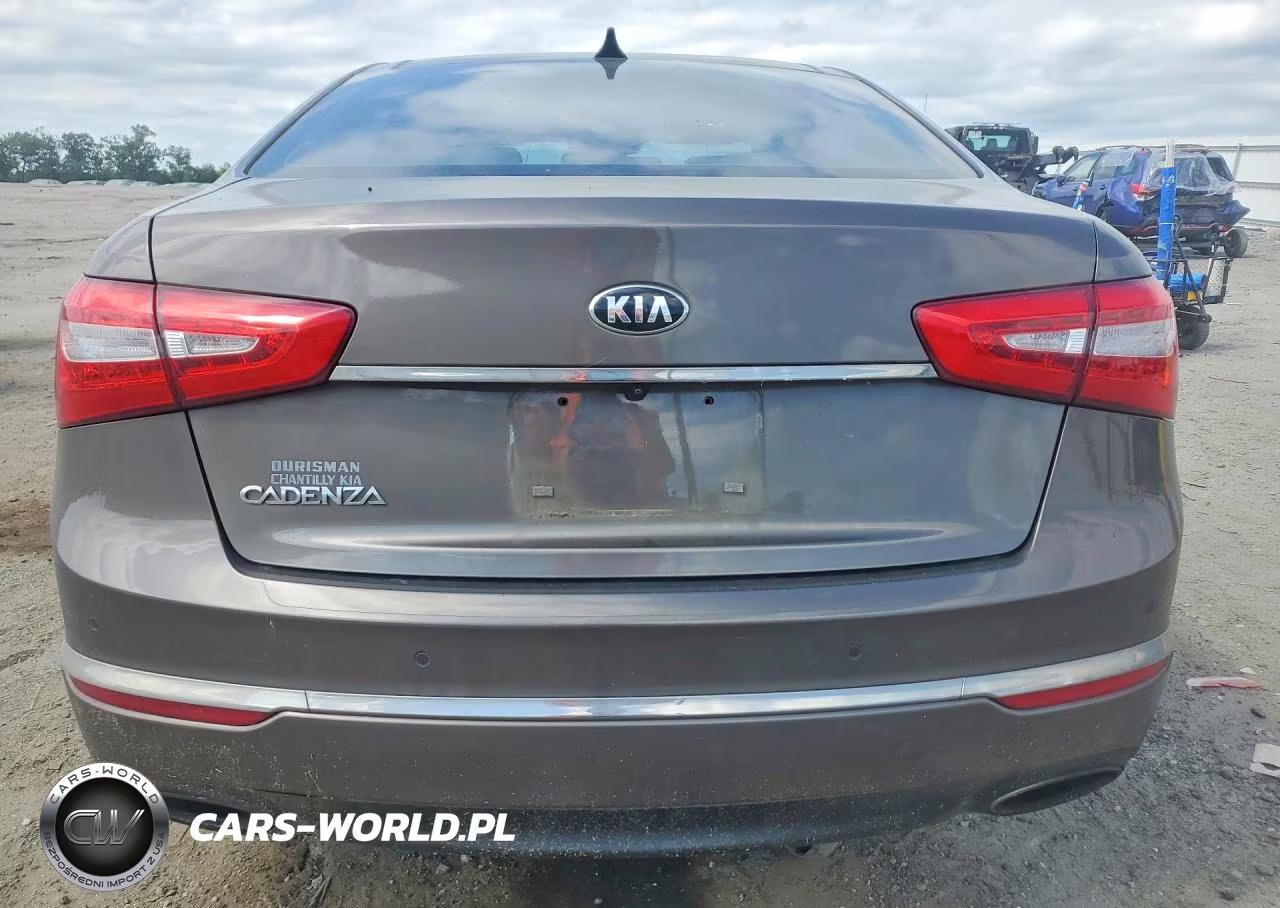 2015 Kia Cadenza Premium VIN:KNALN4D75F5168254 - 6