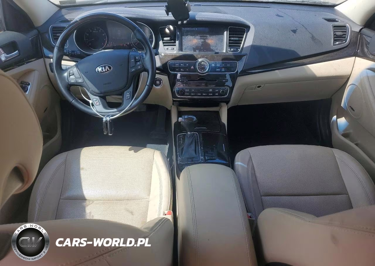 2015 Kia Cadenza Premium VIN:KNALN4D75F5168254 - 8