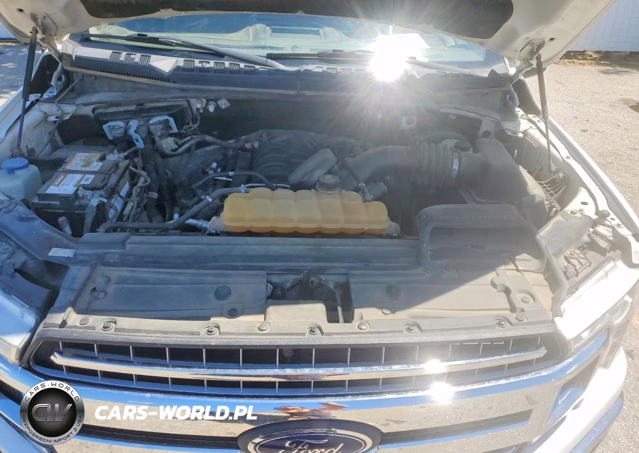 2018 Ford F150 Supercrew VIN:1FTEW1C55JKD43989 - 11