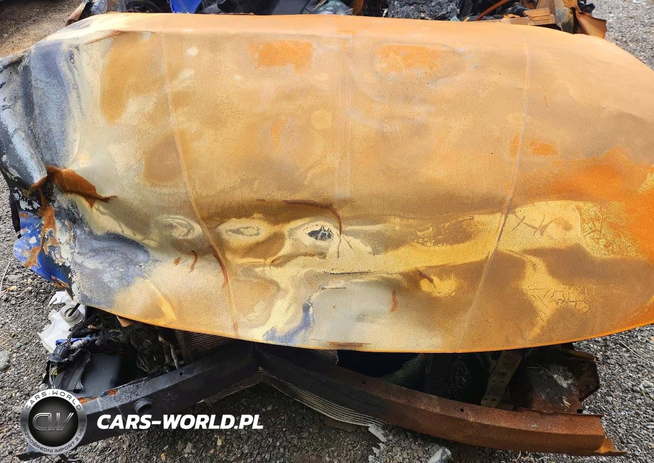 2025 Hyundai Elantra Sel VIN:KMHLS4DG2SU034048 - 11