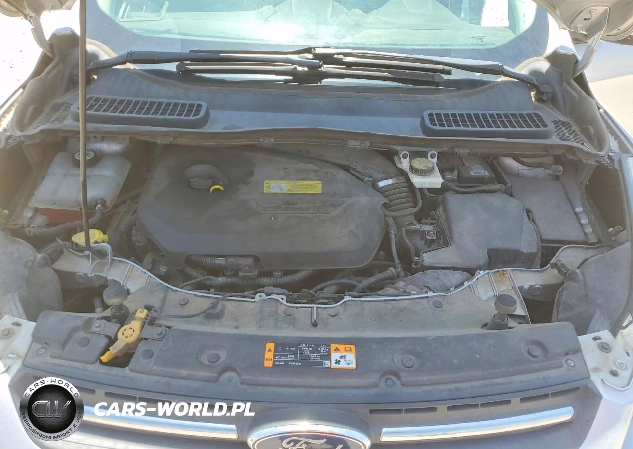 2013 Ford Escape Se VIN:1FMCU0GX7DUC43996 - 12