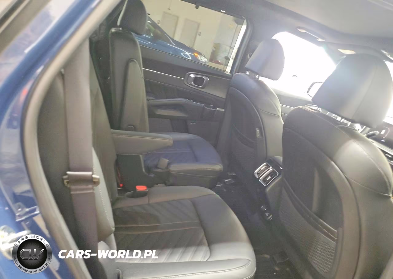 2024 Kia Sorento X-Pro Sx-Prestige VIN:5XYRKDJF9RG271772 - 10