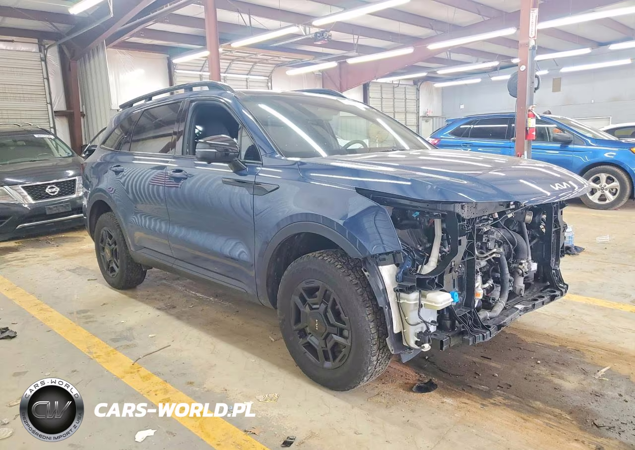 2024 Kia Sorento X-Pro Sx-Prestige VIN:5XYRKDJF9RG271772 - 4