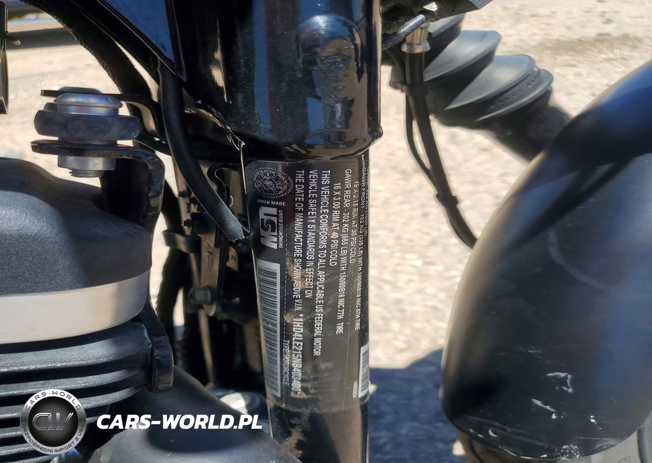 2022 Harley-Davidson Mc VIN:1HD4LE215NB403400 - 9