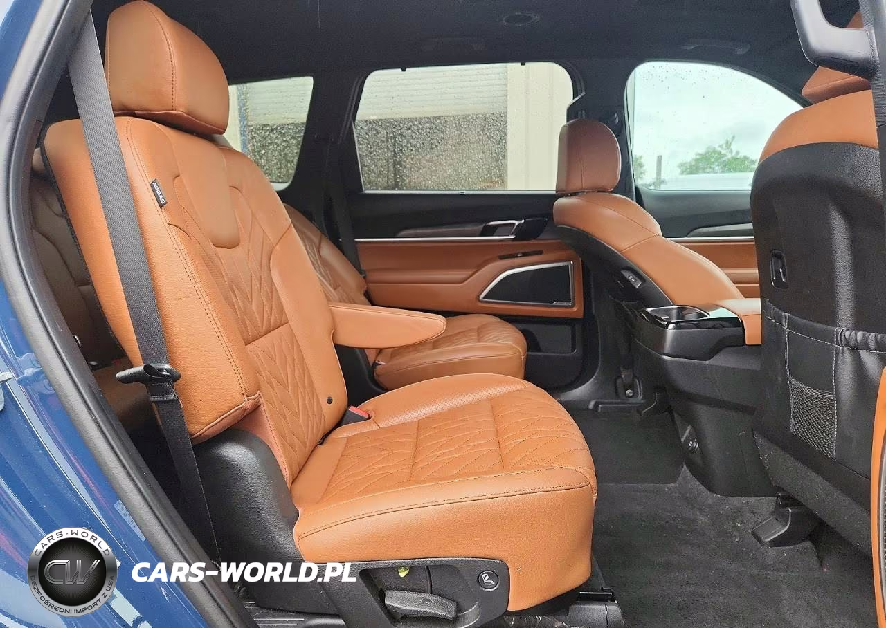 2024 Kia Telluride Ex X-Line VIN:5XYP3DGC5RG432071 - 11