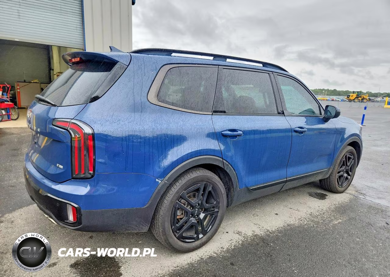 2024 Kia Telluride Ex X-Line VIN:5XYP3DGC5RG432071 - 3