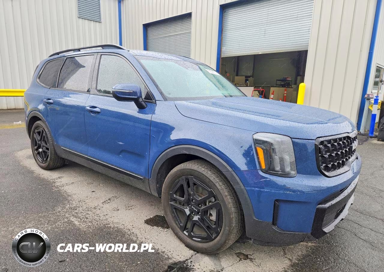 2024 Kia Telluride Ex X-Line VIN:5XYP3DGC5RG432071 - 4