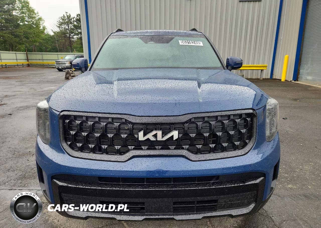 2024 Kia Telluride Ex X-Line VIN:5XYP3DGC5RG432071 - 5