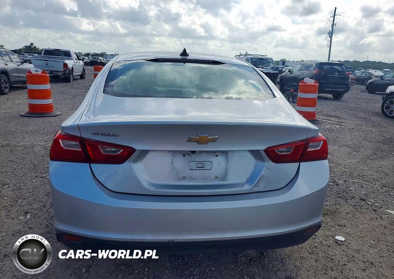2020 Chevrolet Malibu Ls VIN:1G1ZC5ST4LF141862 - 6