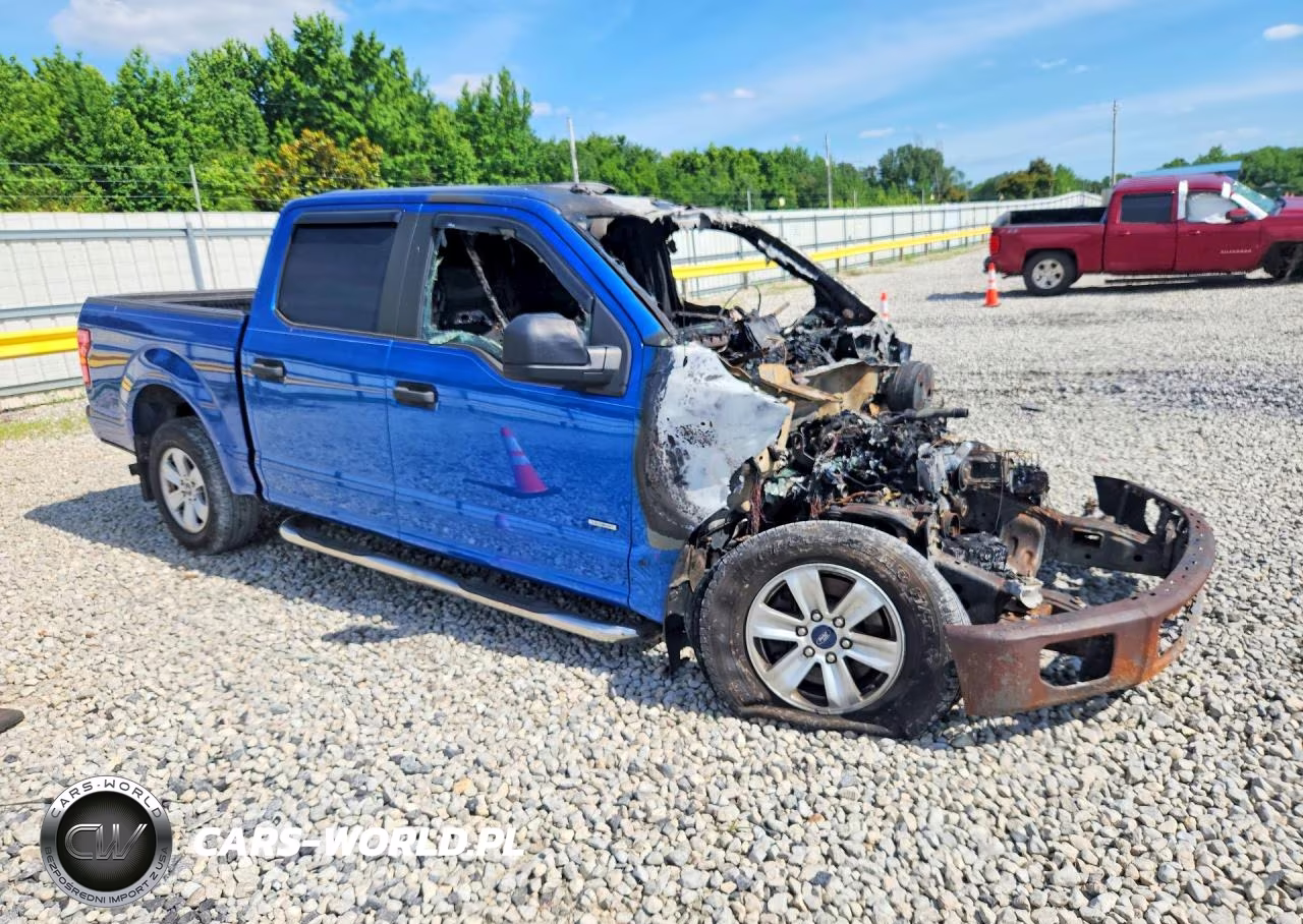 2015 Ford F150 Supercrew VIN:1FTEW1CP7FKE34240 - 4