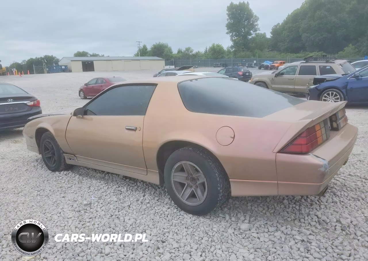1990 Chevrolet Camaro Rs VIN:1G1FP23E6LL123211 - 2