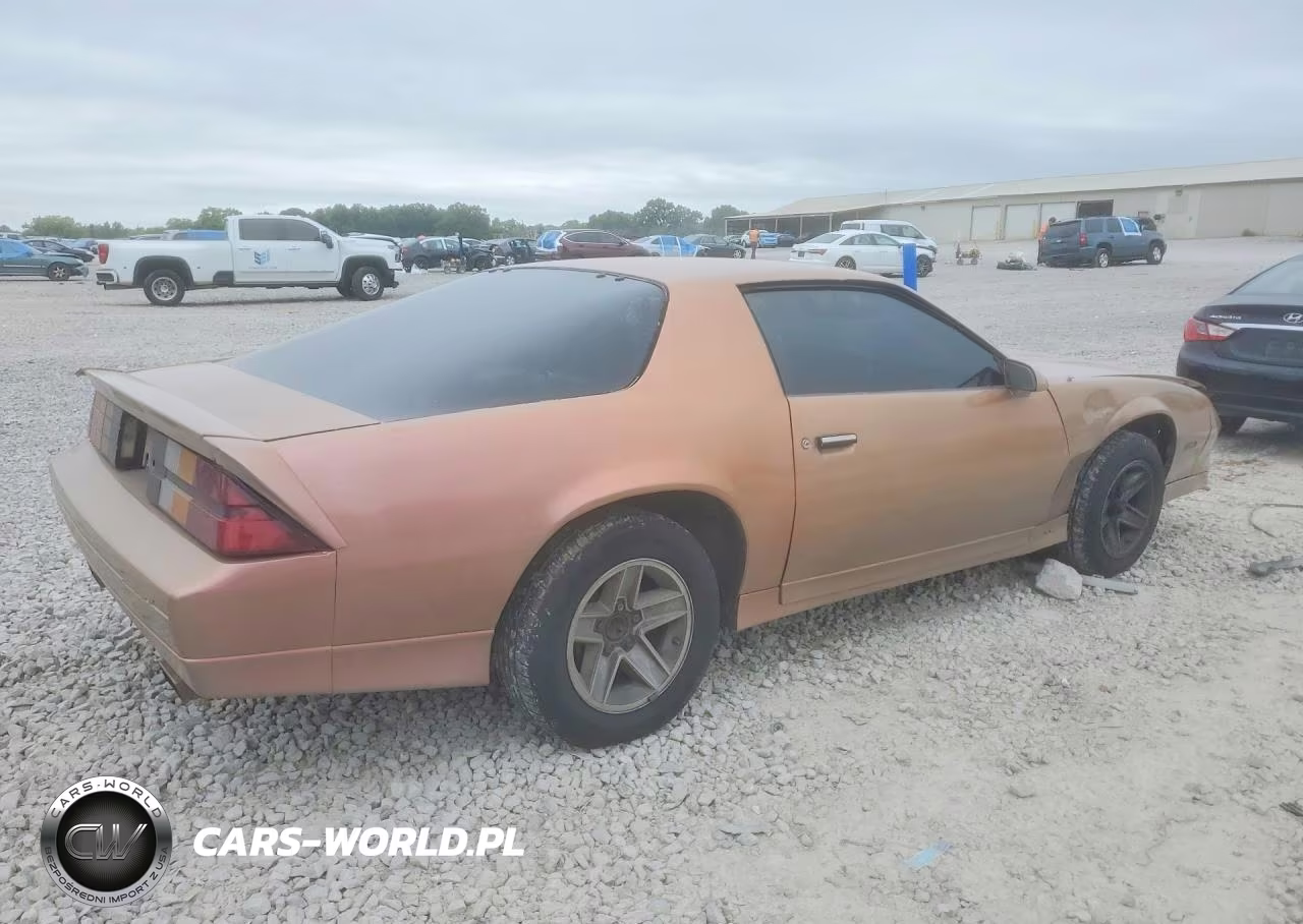 1990 Chevrolet Camaro Rs VIN:1G1FP23E6LL123211 - 3