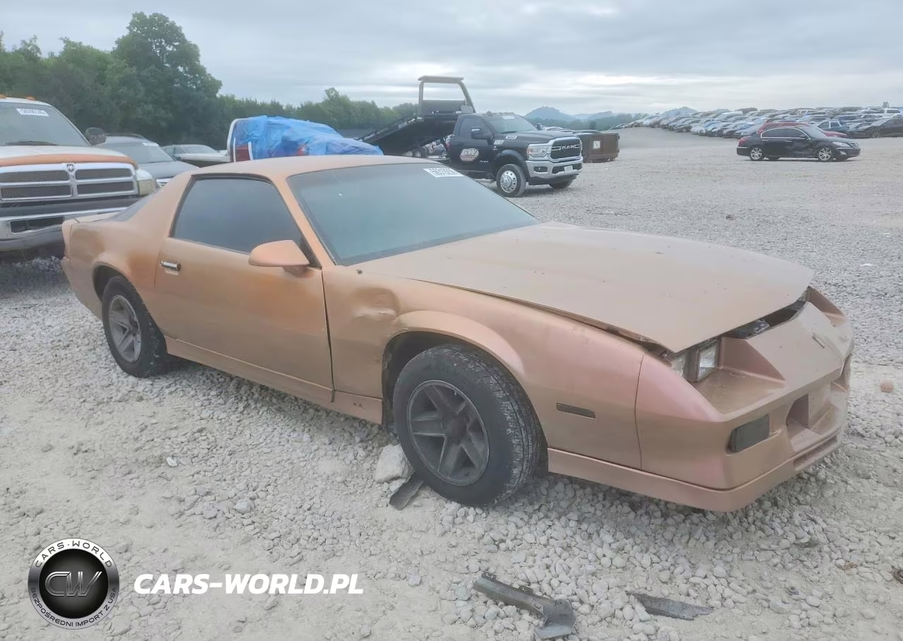 1990 Chevrolet Camaro Rs VIN:1G1FP23E6LL123211 - 4