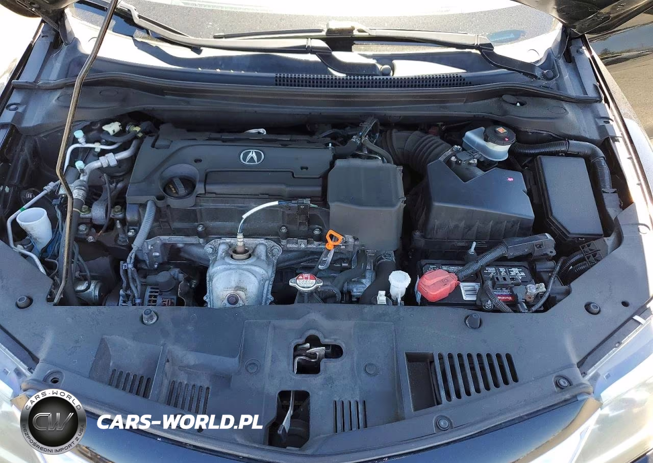 2016 Acura Ilx Premium VIN:19UDE2F75GA008698 - 11
