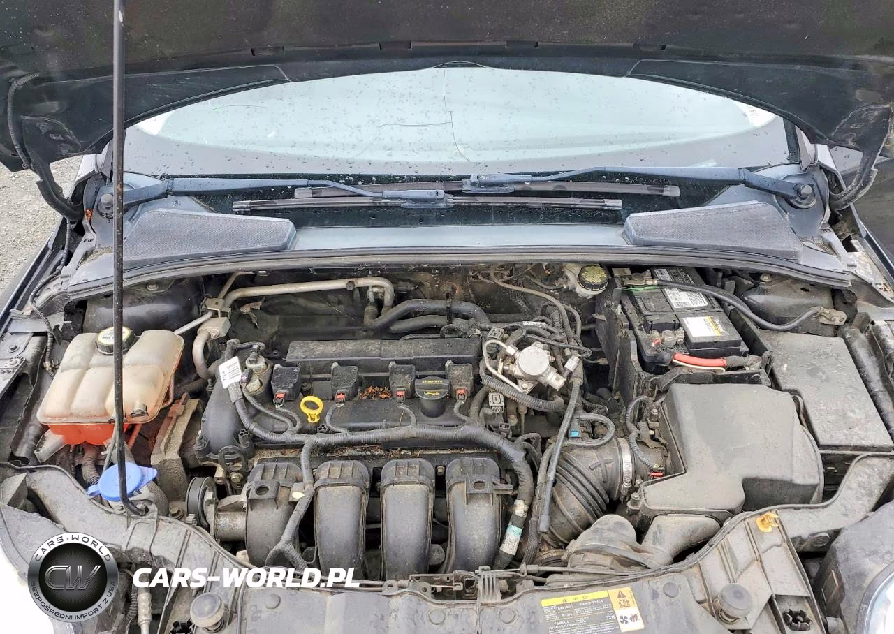 2013 Ford Focus Se VIN:1FADP3F29DL319561 - 11