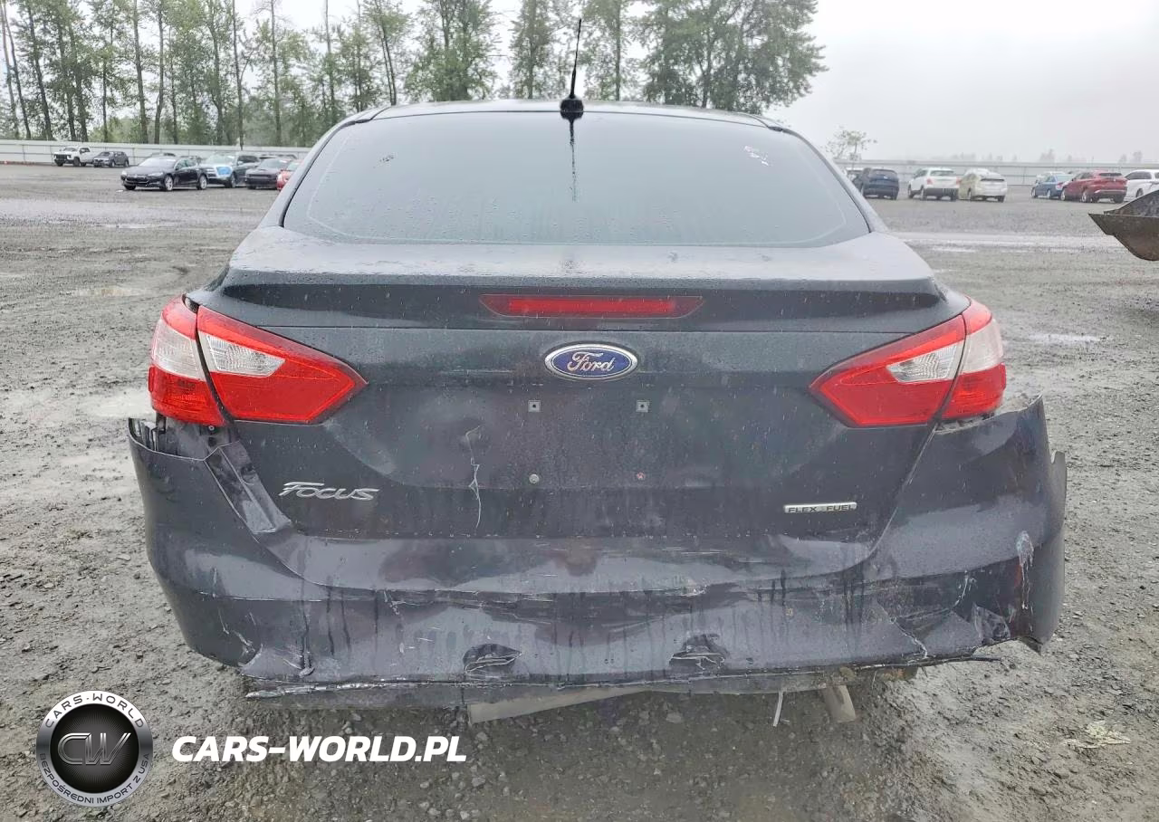 2013 Ford Focus Se VIN:1FADP3F29DL319561 - 6