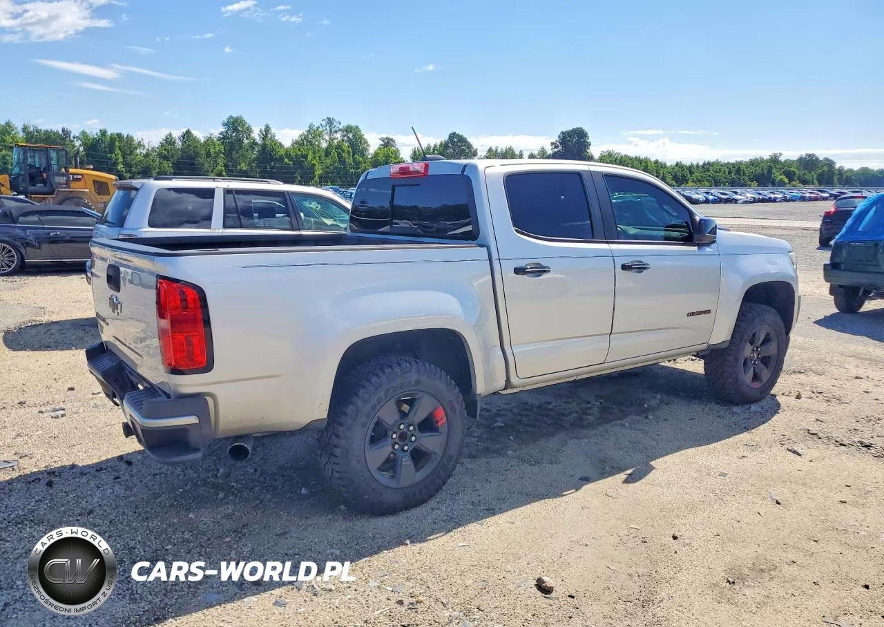 2019 Chevrolet Colorado Lt VIN:1GCGSCEN4K1131816 - 3