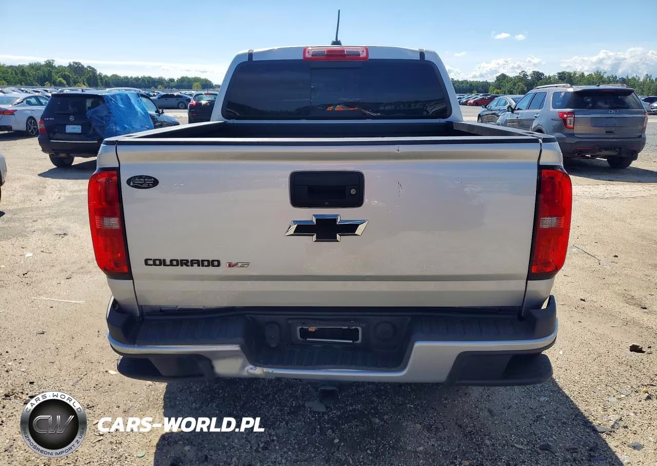 2019 Chevrolet Colorado Lt VIN:1GCGSCEN4K1131816 - 6