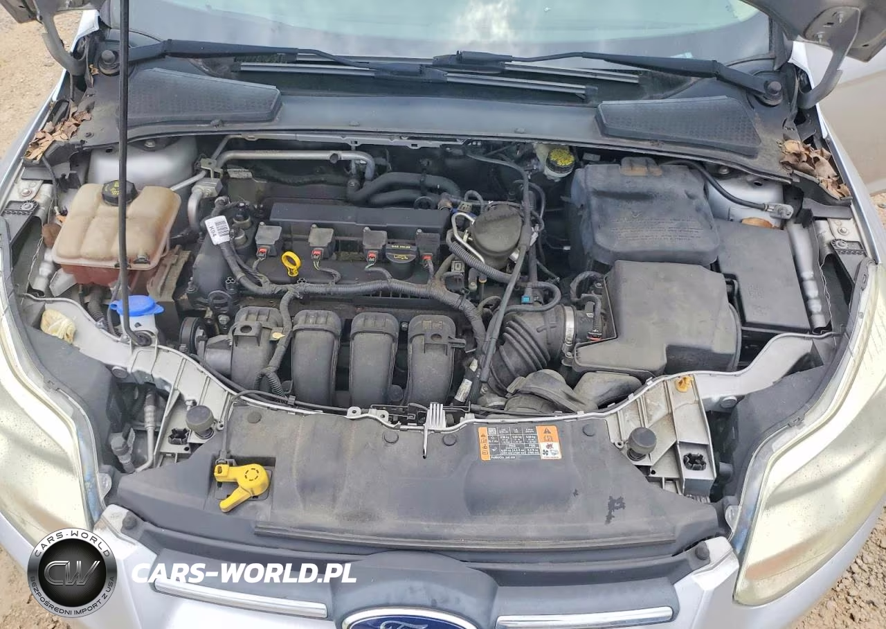 2014 Ford Focus Se VIN:1FADP3F21EL351650 - 11