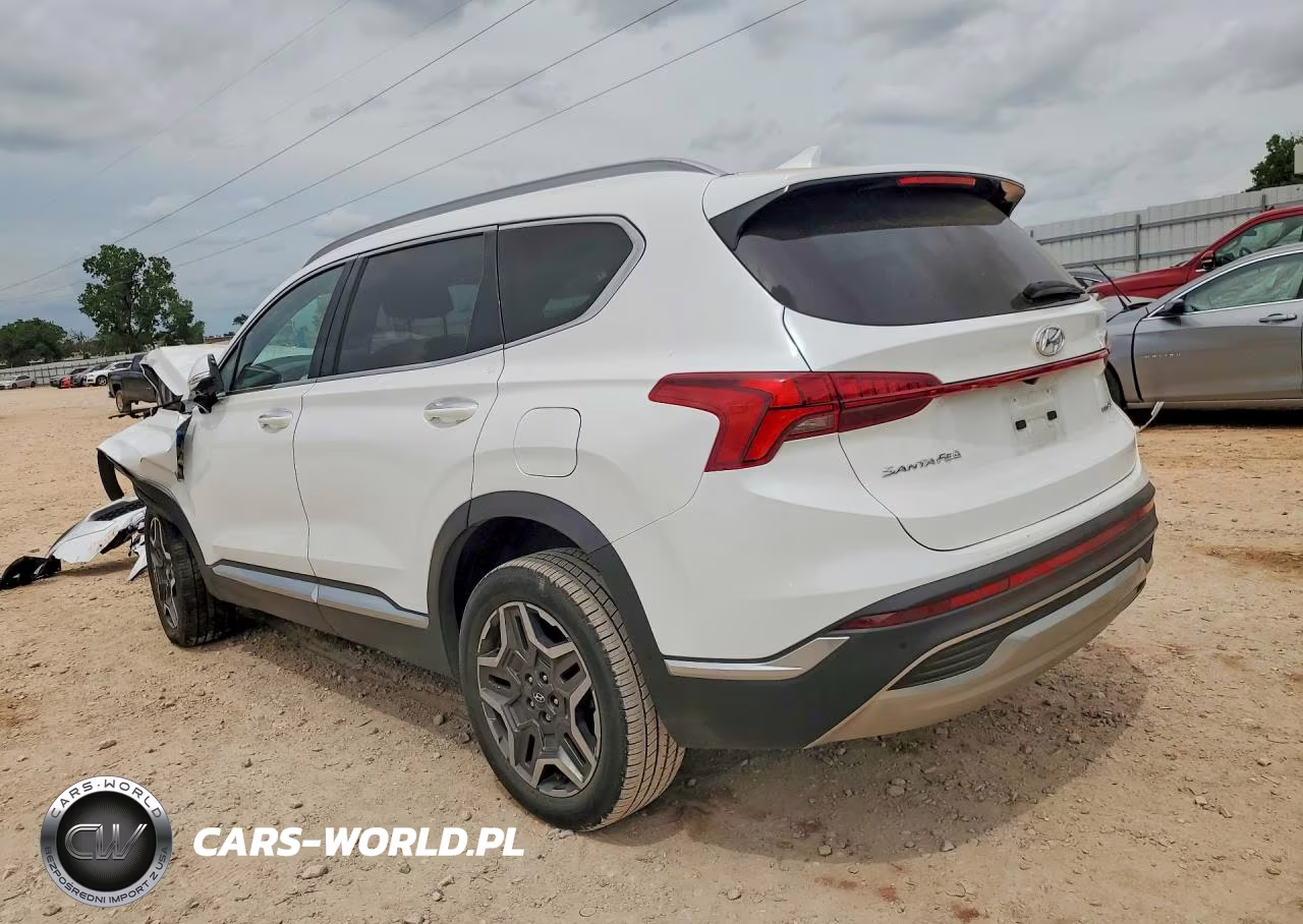 2021 Hyundai Santa Fe Limited VIN:5NMS4DAL2MH352239 - 2
