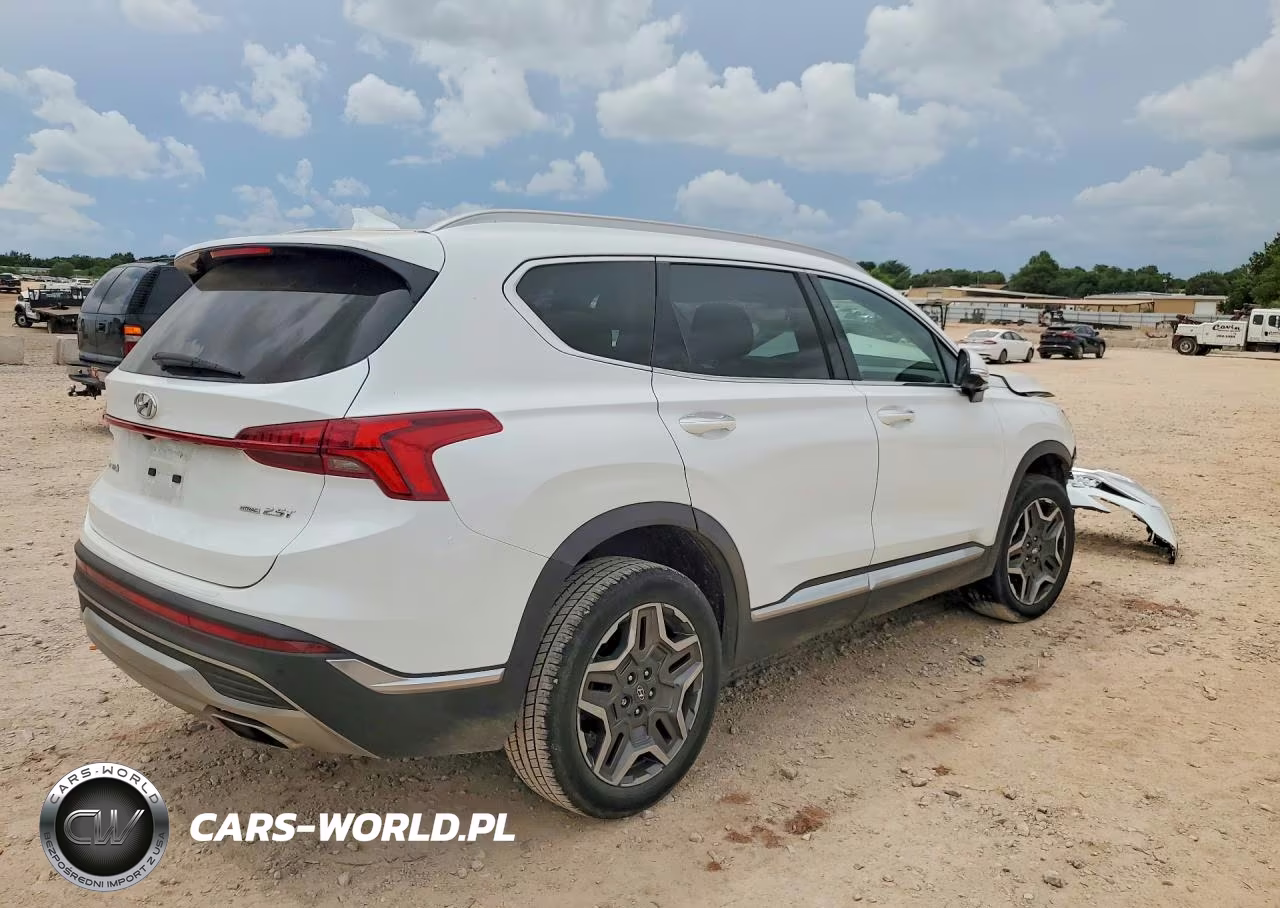 2021 Hyundai Santa Fe Limited VIN:5NMS4DAL2MH352239 - 3