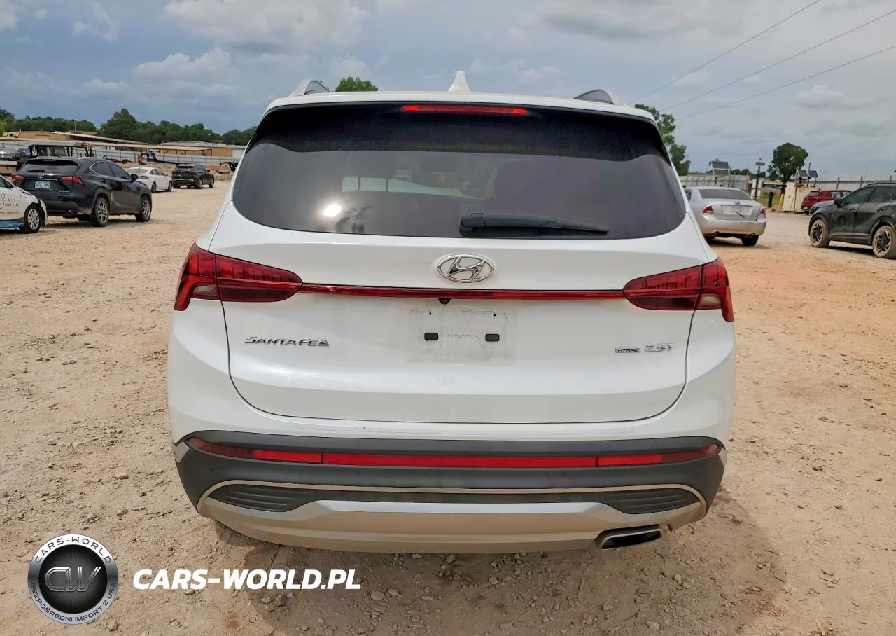 2021 Hyundai Santa Fe Limited VIN:5NMS4DAL2MH352239 - 6