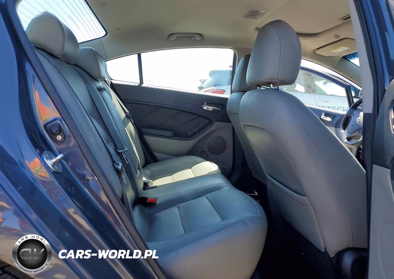 2015 Kia Forte Ex VIN:KNAFZ4A84F5282583 - 10
